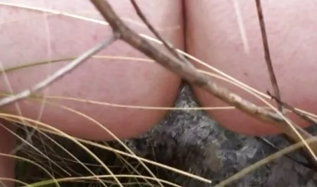 그래서 어떤 끈 씨발 점을 죽습니다,항문,더블 침투,미용